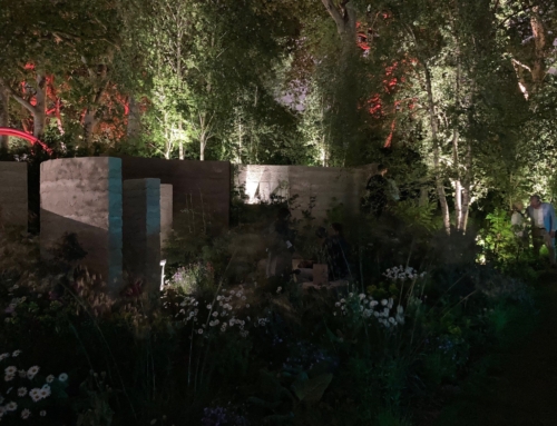 Healthy Gardens for Healthy Minds