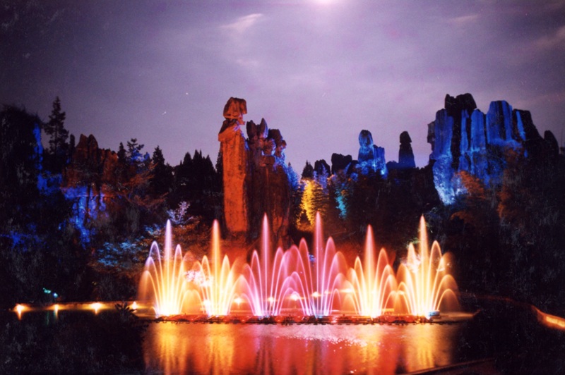 Stone Forest